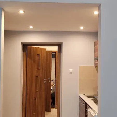 Tlc Apartments Cracow Kraków Zewnętrze zdjęcie