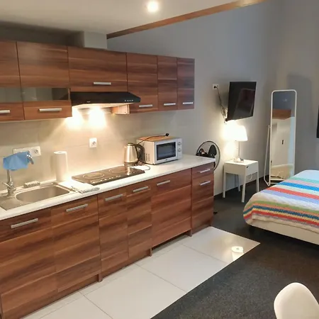 Tlc Apartments Cracow Kraków Zewnętrze zdjęcie